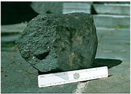 murchison  15cm.jpg